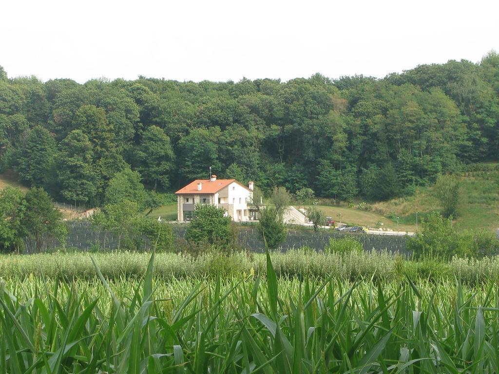 Agriturismo Casamela Paderno del Grappa Kültér fotó