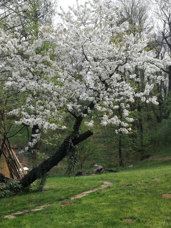Agriturismo Casamela Paderno del Grappa Kültér fotó